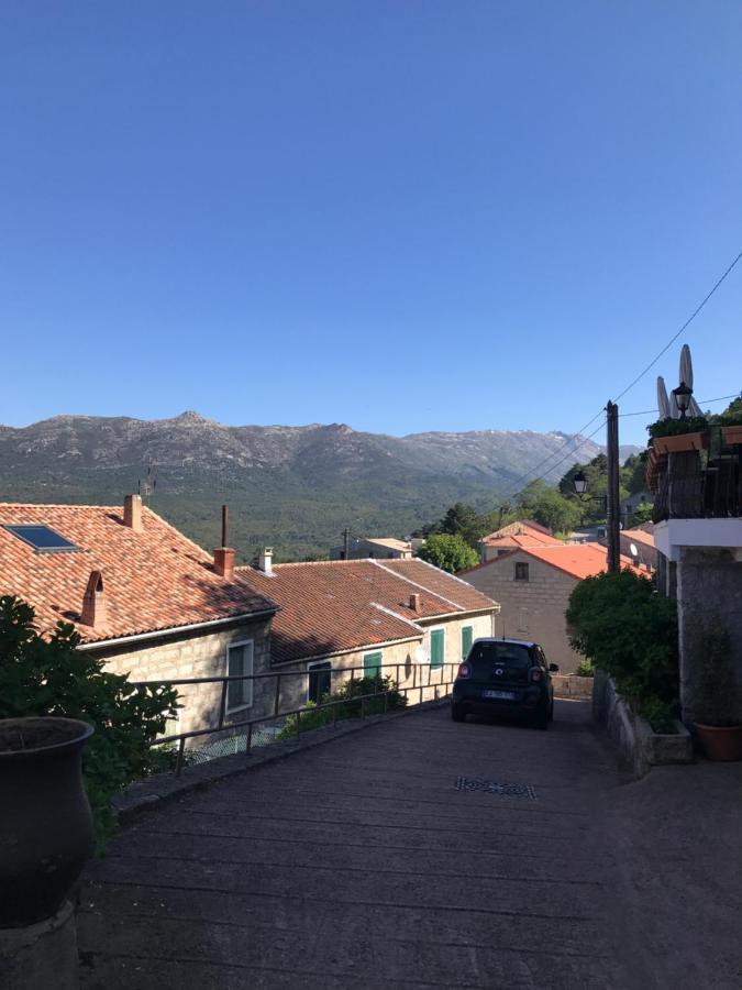 Hotel La Terrasse Зонза Екстериор снимка