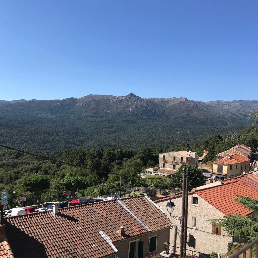 Hotel La Terrasse Зонза Екстериор снимка