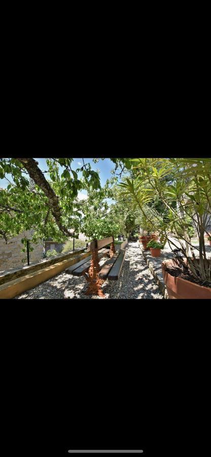 Hotel La Terrasse Зонза Екстериор снимка